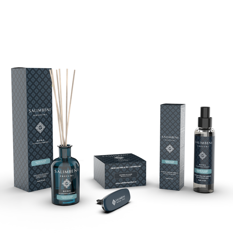 Difusor de Varillas 250ml + Difusor de Coche + Ambientador en Spray 150ml (FRAGANCIA A TU ELECCIÓN)